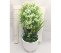 濟南盆景產(chǎn)品庫 奇石盆景的價格、圖片與廠家指南