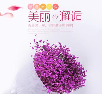 云南干花批發(fā) 散裝滿天星花束，產(chǎn)地直銷純自然風干永生花