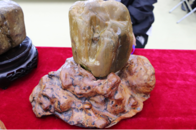 石韻煤魂，魅力海倫——首屆奇石文化旅游節(jié)盛大開(kāi)幕，焦炭產(chǎn)業(yè)與文化盛宴交相輝映